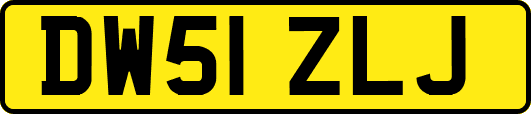 DW51ZLJ