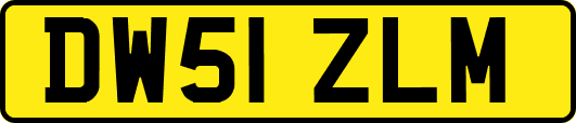 DW51ZLM
