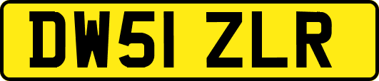 DW51ZLR
