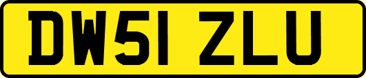 DW51ZLU