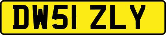 DW51ZLY