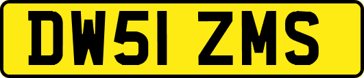 DW51ZMS