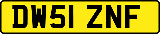 DW51ZNF