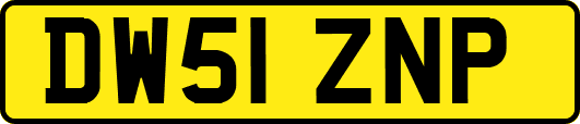DW51ZNP