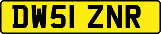 DW51ZNR