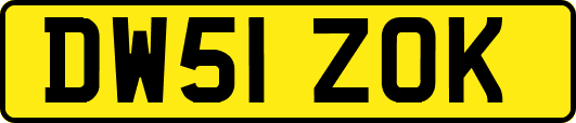 DW51ZOK