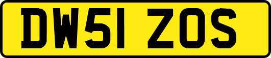 DW51ZOS