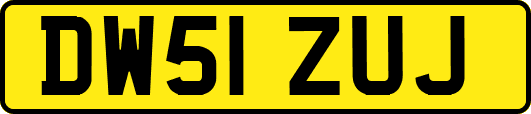 DW51ZUJ
