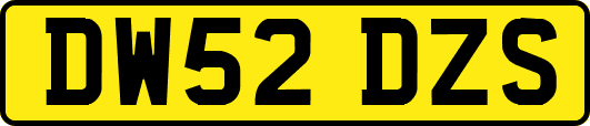 DW52DZS