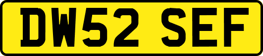 DW52SEF