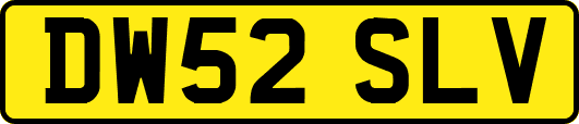 DW52SLV