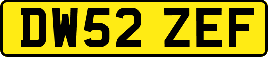DW52ZEF