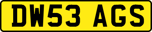 DW53AGS
