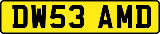 DW53AMD
