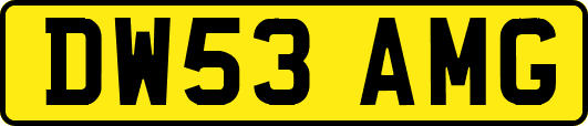 DW53AMG