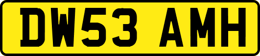 DW53AMH