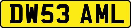 DW53AML