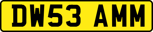 DW53AMM