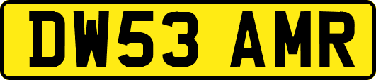 DW53AMR
