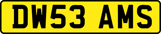 DW53AMS