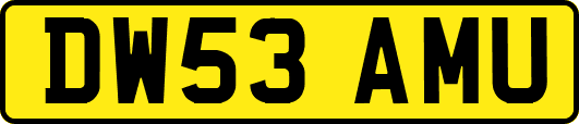 DW53AMU
