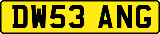 DW53ANG