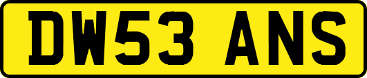 DW53ANS