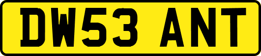 DW53ANT