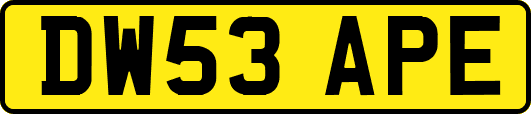 DW53APE