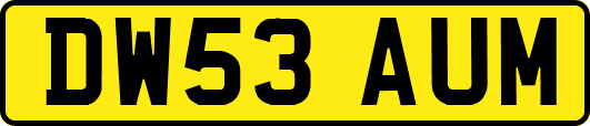 DW53AUM