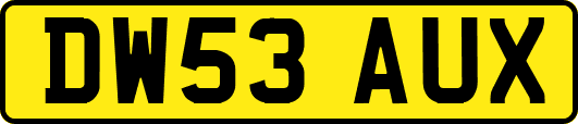 DW53AUX