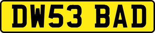 DW53BAD