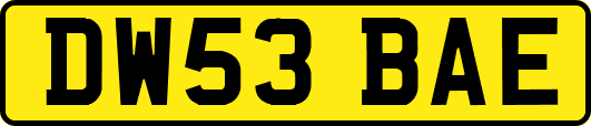 DW53BAE
