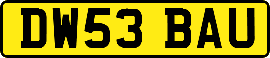 DW53BAU