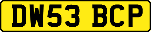 DW53BCP