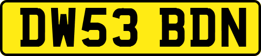 DW53BDN