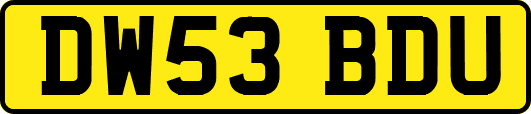 DW53BDU