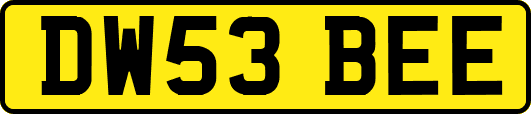 DW53BEE