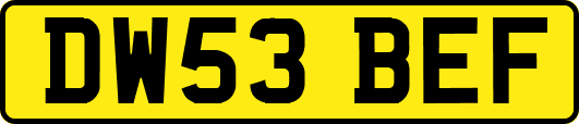 DW53BEF