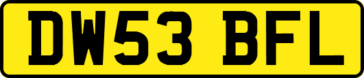 DW53BFL