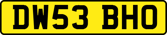 DW53BHO