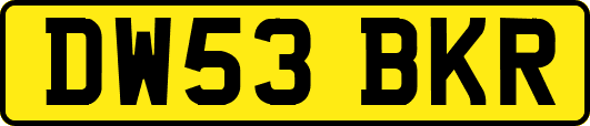 DW53BKR