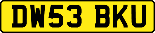 DW53BKU