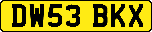 DW53BKX