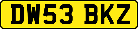DW53BKZ