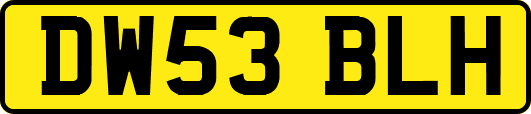 DW53BLH