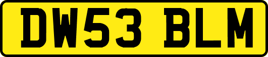DW53BLM