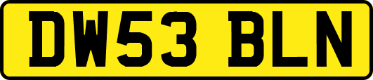 DW53BLN