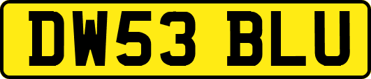 DW53BLU