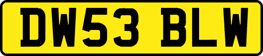 DW53BLW